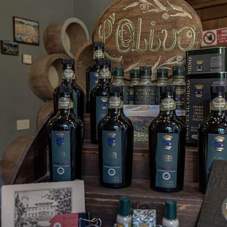 Tenuta Il Corno Agriturismo サン・カシャーノ・イン・ヴァル・ディ・ペーザ エクステリア 写真