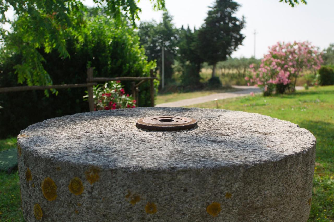 Tenuta Il Corno Agriturismo サン・カシャーノ・イン・ヴァル・ディ・ペーザ エクステリア 写真